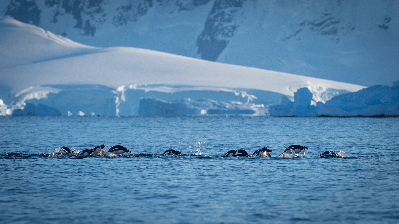 Crossing The Circle - Polar Latitudes - North South Voyages