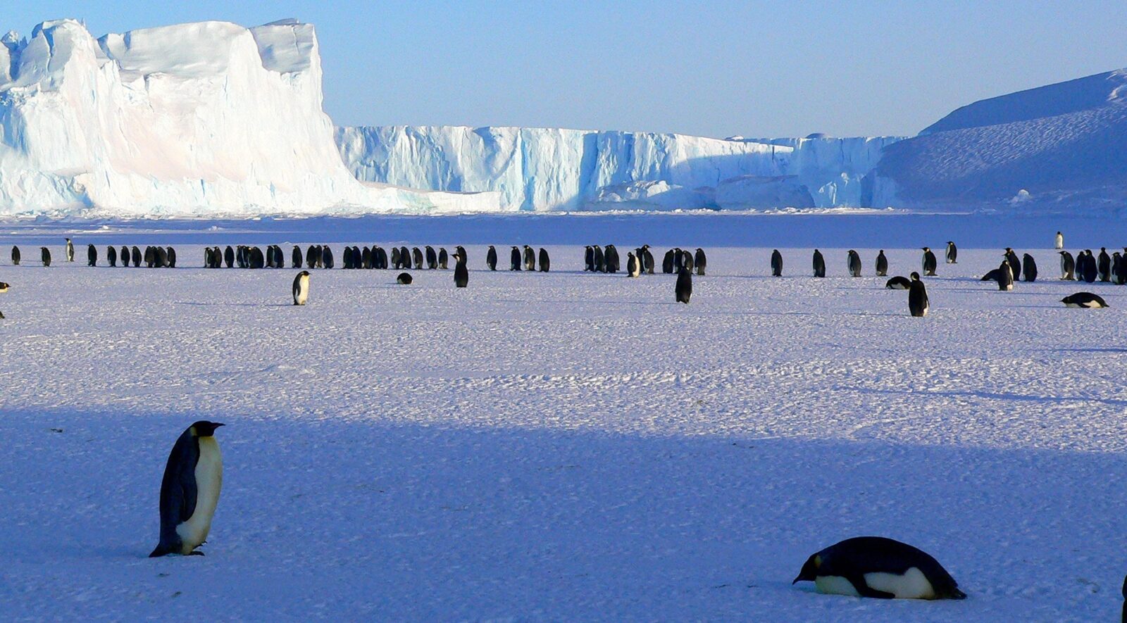 Antarctica & Ross Sea From Australia